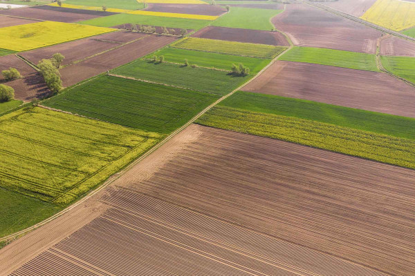 Estudios Edafológicos · Ingenieros Geotécnicos y Geofísicos Santa Cristina d'Aro